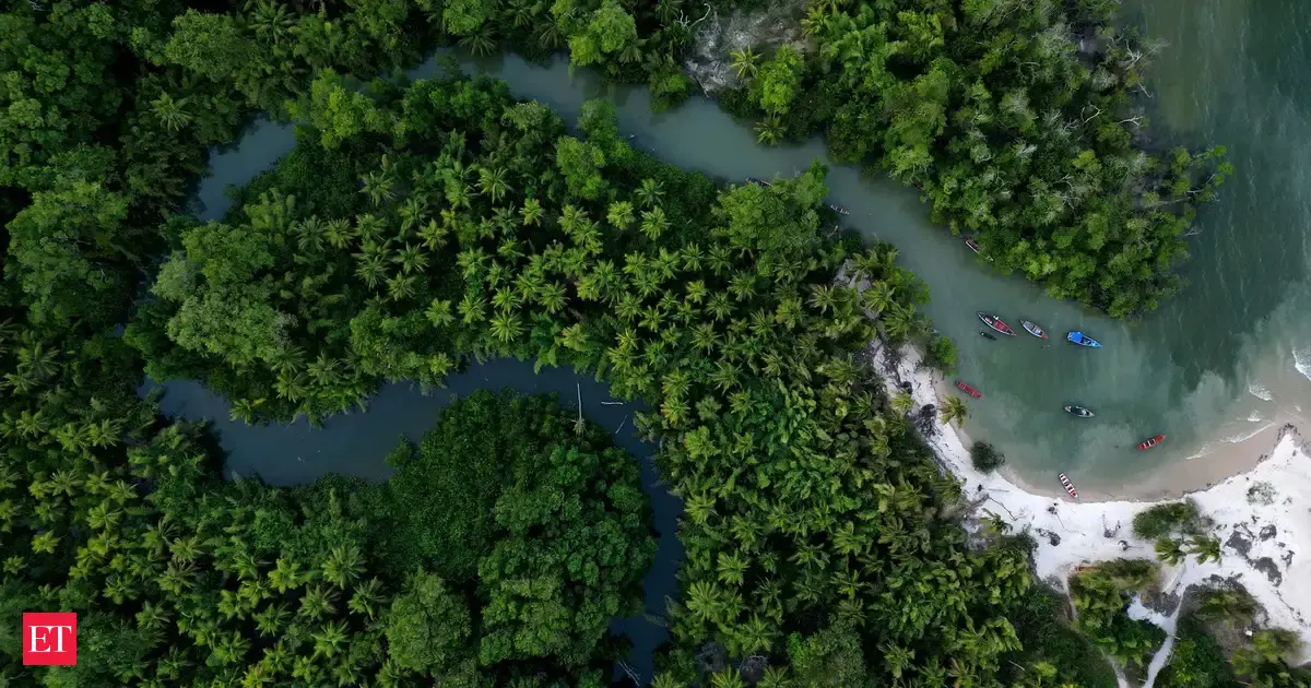 India joins Brazil-led forest preservation initiative as observer at leaders’ climate summit