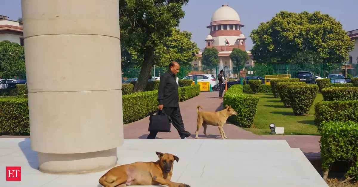A colonial dilemma about stray dogs: Delhi's 80-year-struggle to deal in 'humane' ways