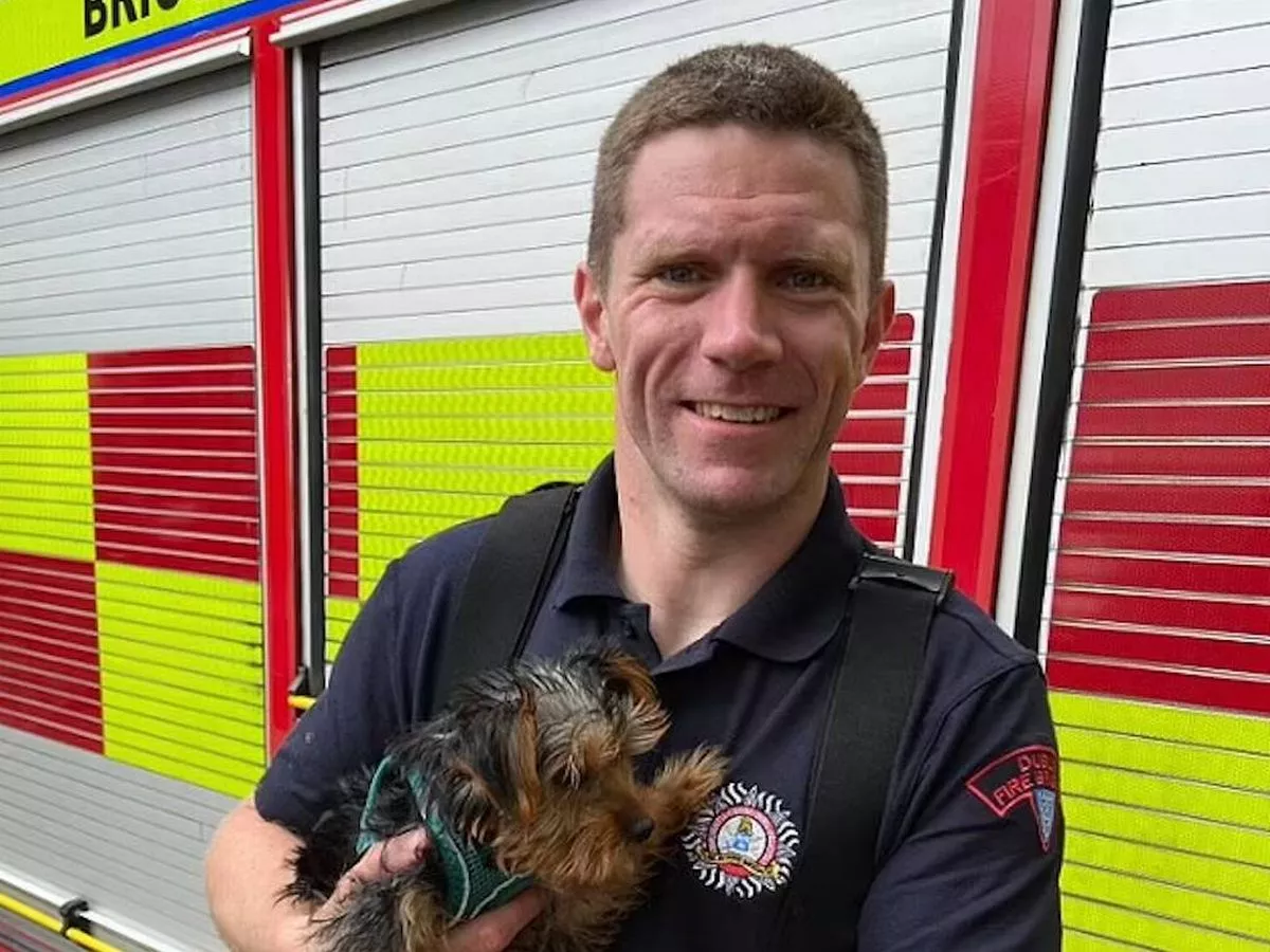 Firefighter's sick tweet about 'rape capital of Europe' as he's convicted of the crime