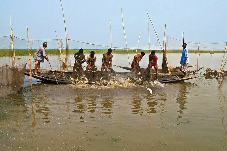 Sindh govt, SU to celebrate World Fisheries Day at Keenjhar Lake
