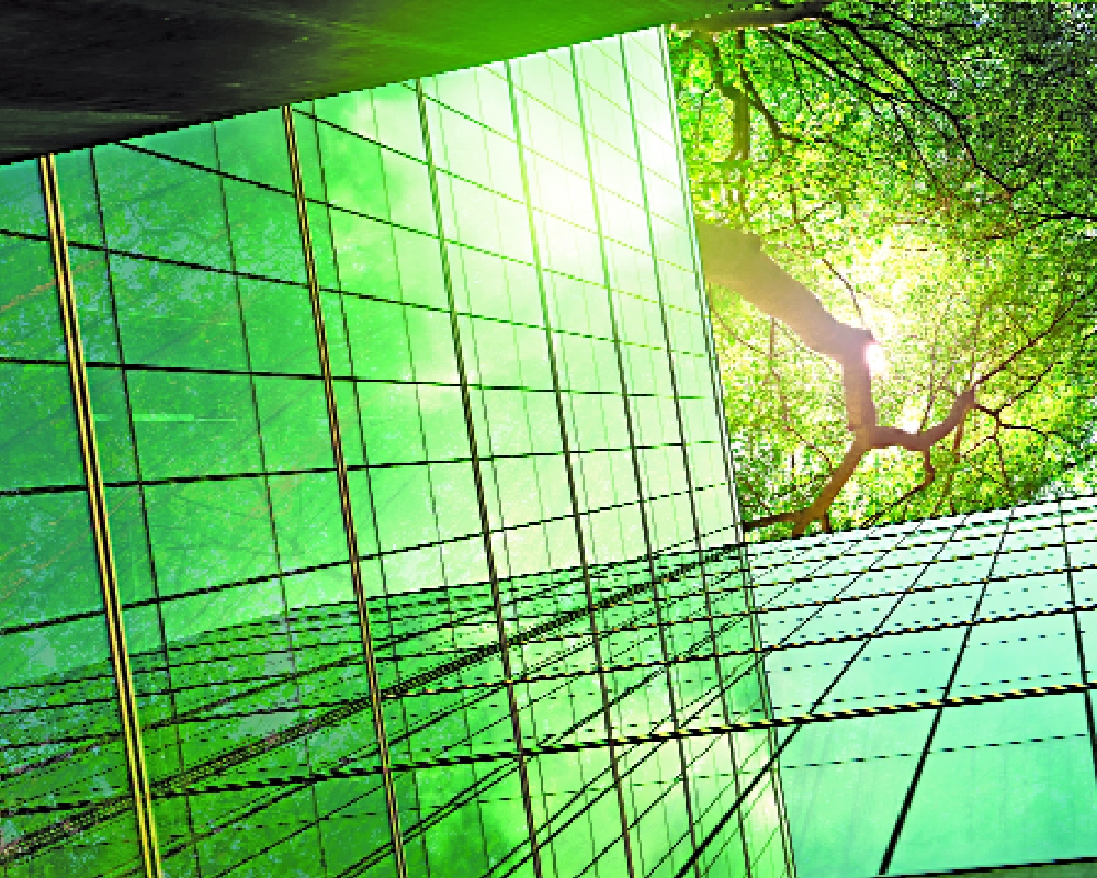 Expectation solution governance