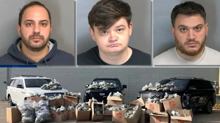 5 cars, $380K in cash, 1,500 pounds of marijuana, guns seized in massive Macomb County drug bust