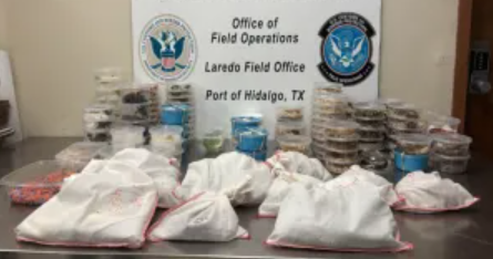 Pythons among 163 exotic species seized from truck at U.S. border