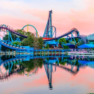 Woman sues SeaWorld after duck flies into her face as she rides a roller coaster