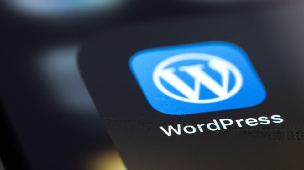 This popular WordPress security plugin has a worrying flaw which exposed user data