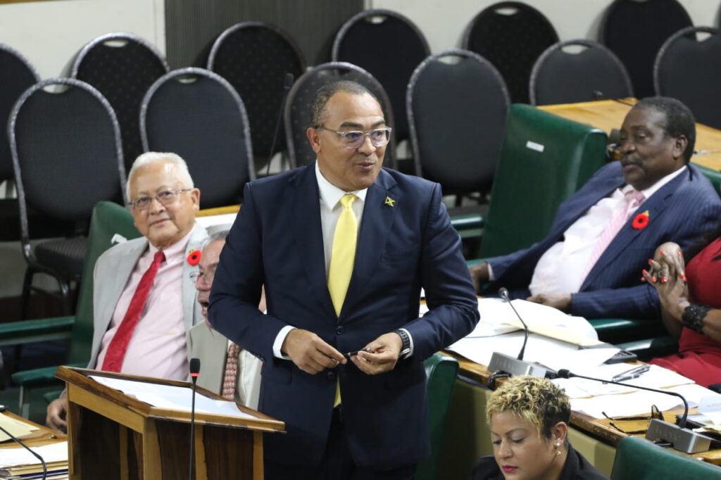 Over 5,000kg of food condemned since Melissa hit — Tufton