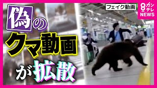 Ex-Prosecutor Warns Makers of Fake AI Bear Videos May Face Charges