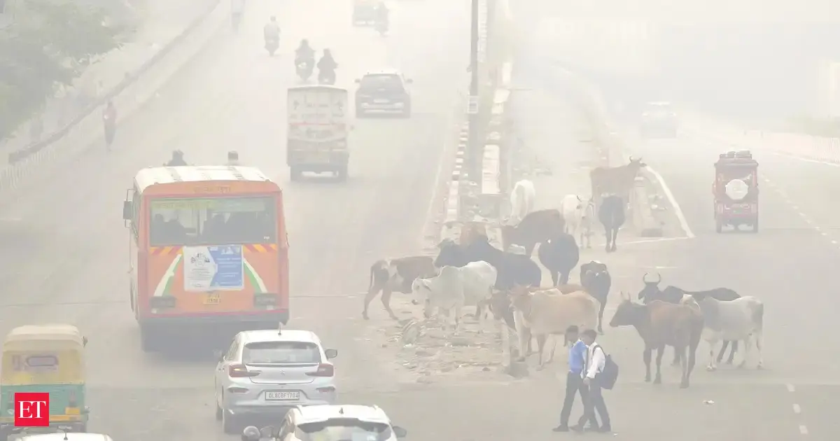 Clean air or clean data: Survey raises doubt on Delhi's AQI data