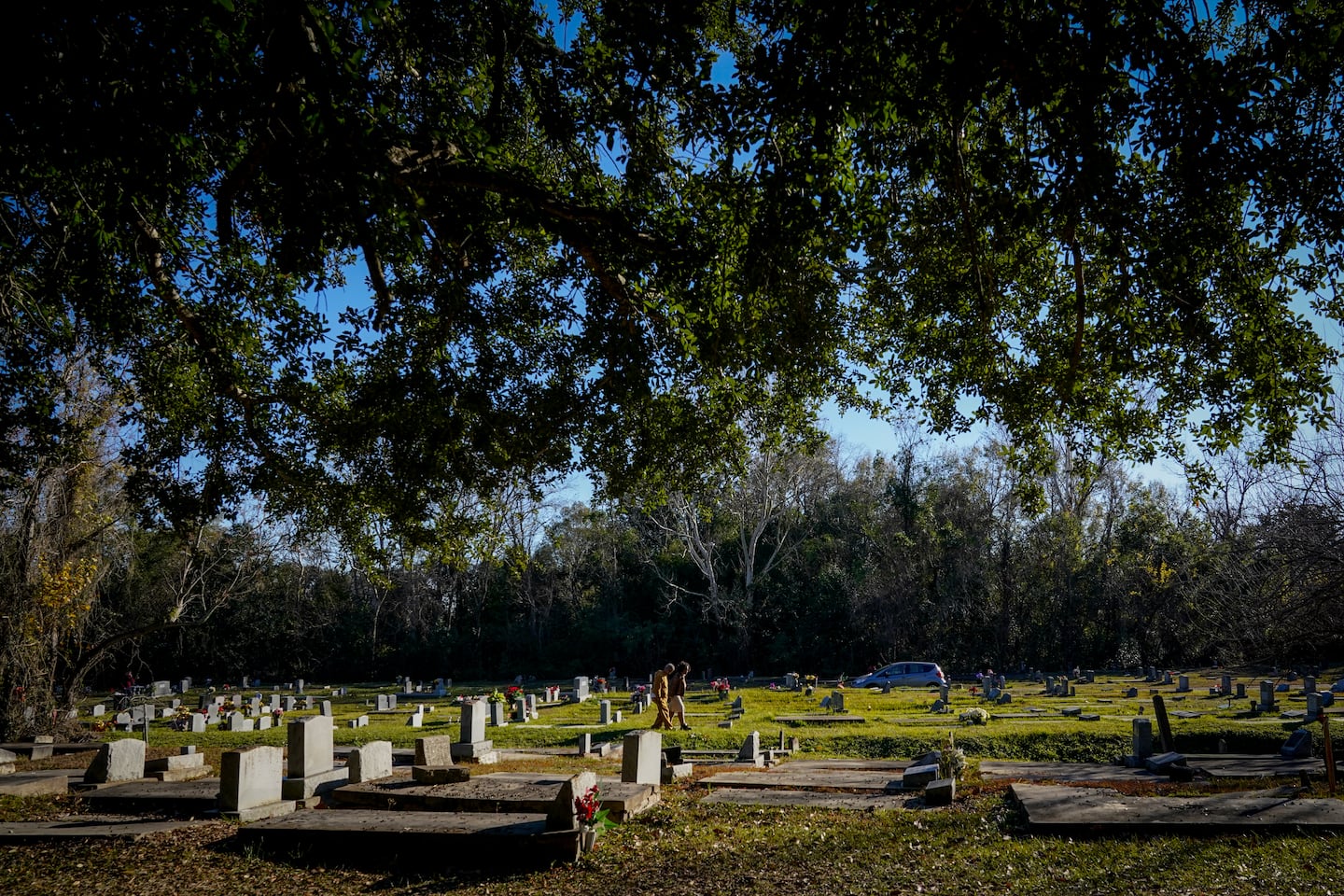 More people are dying before they turn 65