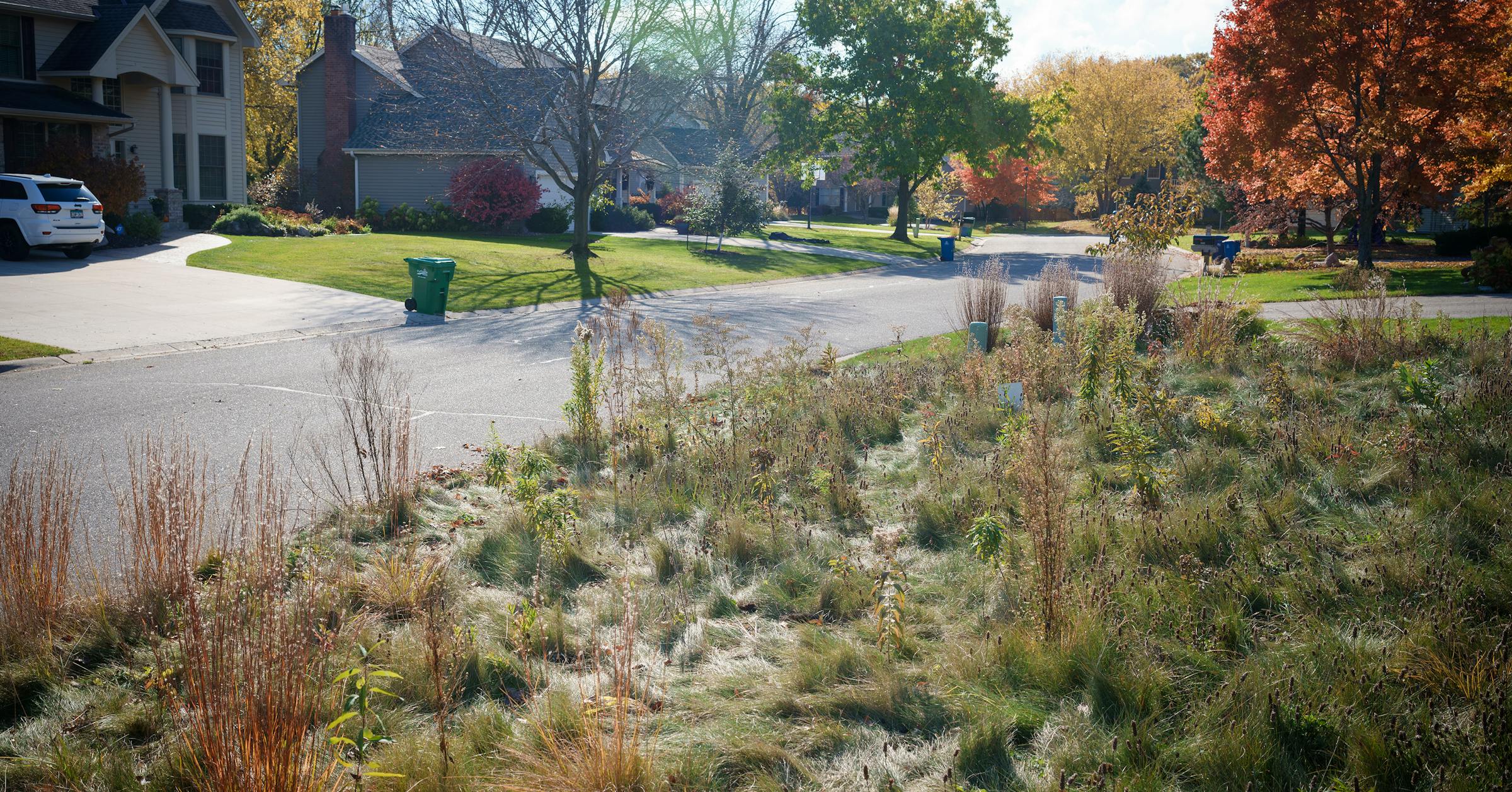 As no-mow lawn dispute shows, conservation begins at home