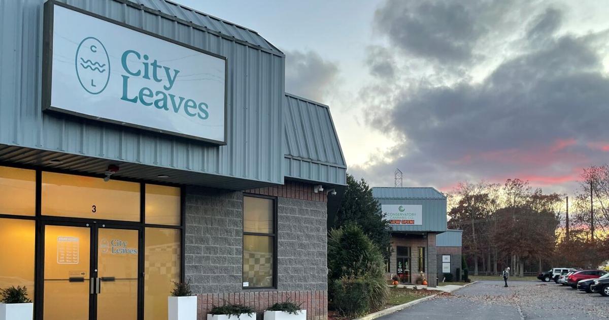 EHT to consider one-year moratorium on new weed businesses