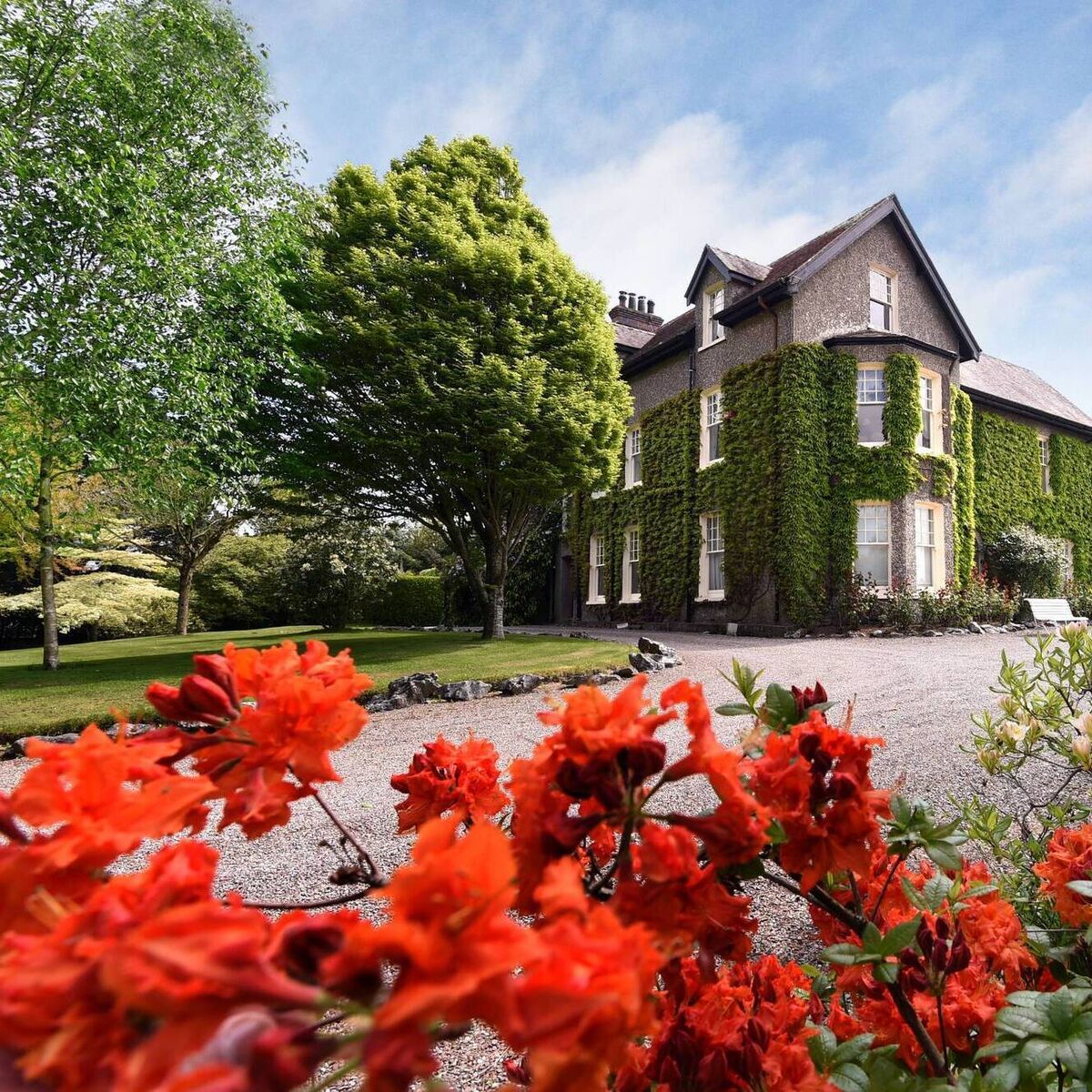 Last chances to do the Charleston at Midleton development with semi-ds now from  €475,000