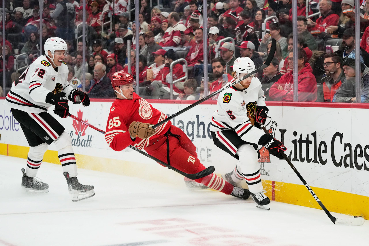 Red Wings must utilize their size - ‘sometimes we don’t play big’