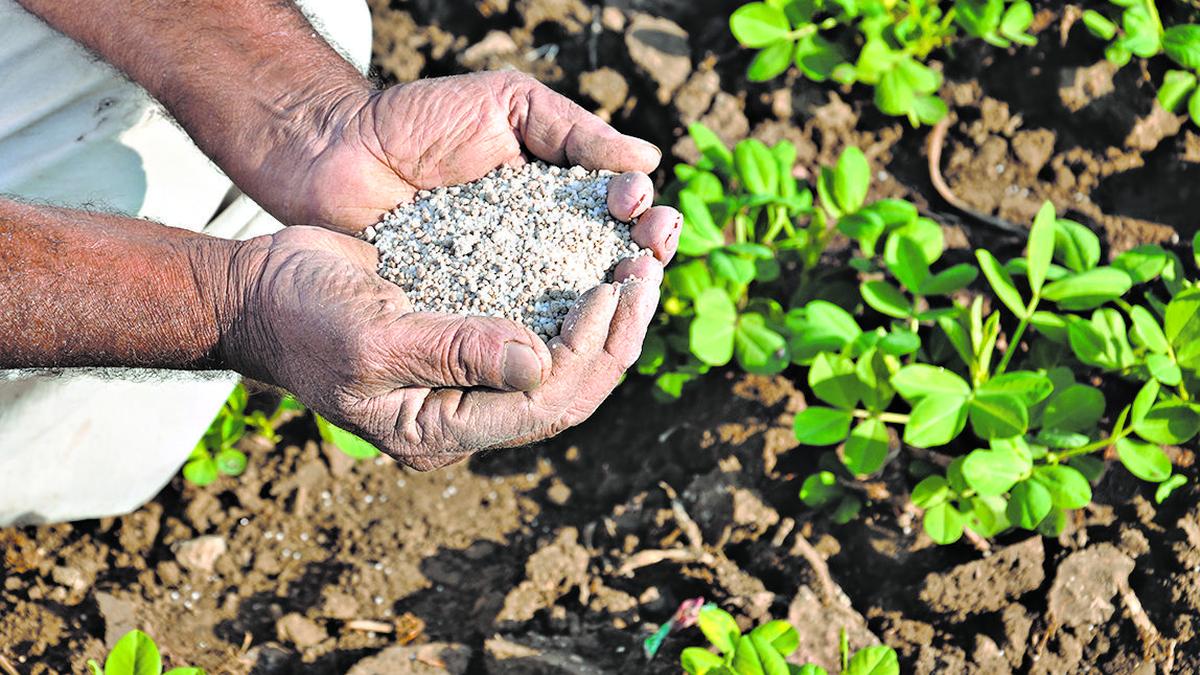 Farmer attempts to end life over fertilizer shortage in U.P.’s Shahjahanpur