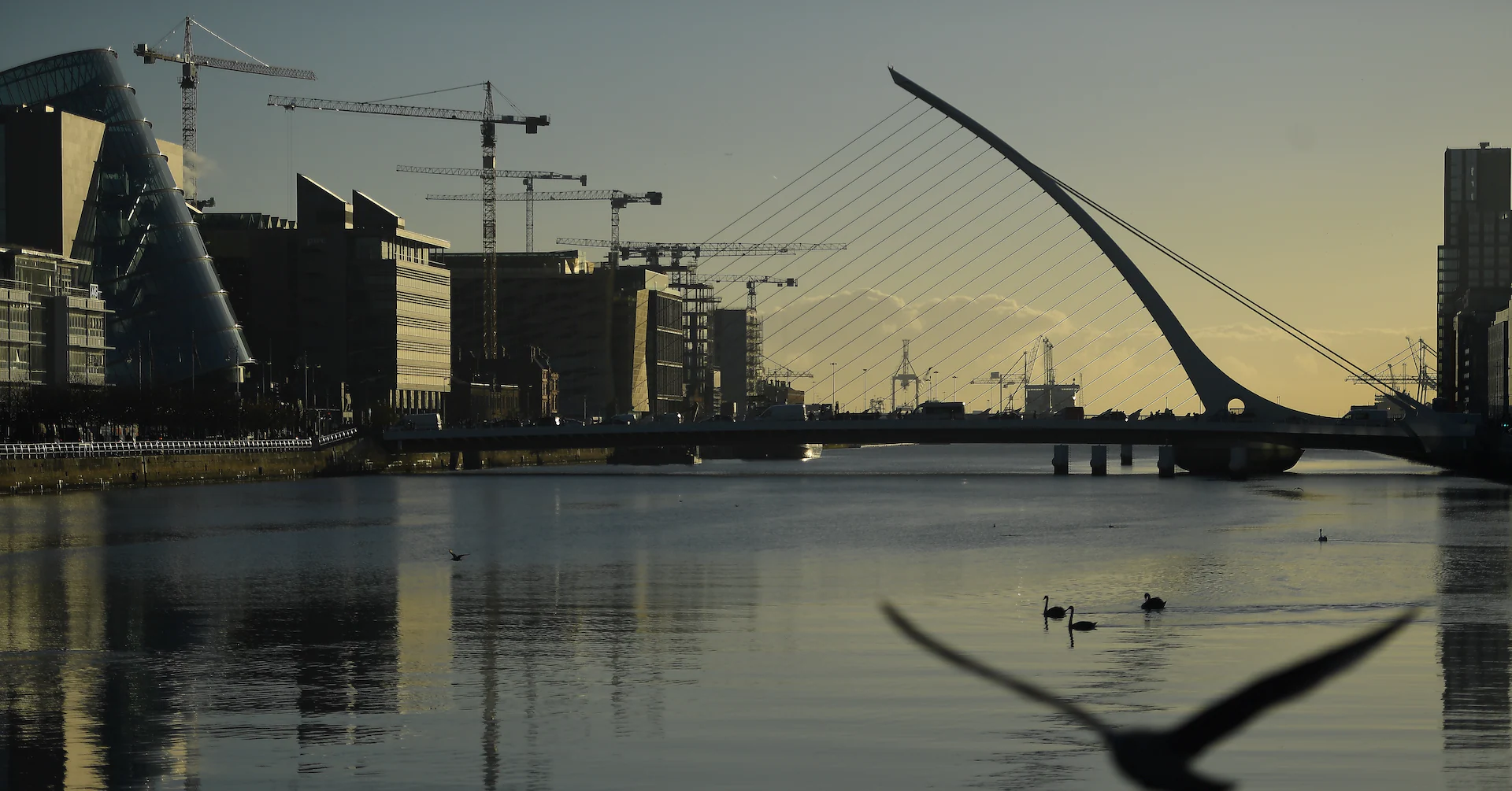 Irish corporate taxes to avoid tariff hit but risks rise, watchdog says