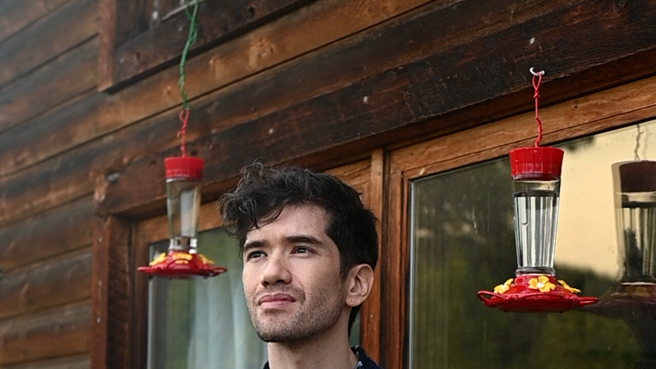 He Studied Why Some Female Birds Look Like Males