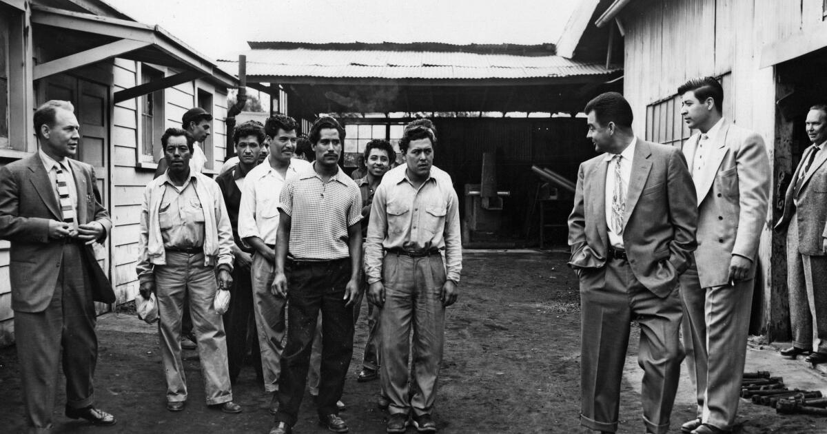 When immigration agents picked up a 15-year-old white teen