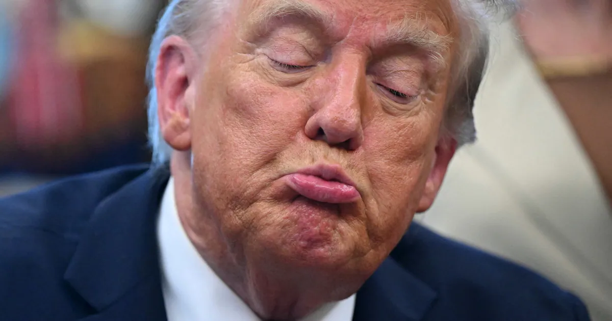 Freaked-Out Trump Aides Trying to Stop Him Pushing His Favorite Delusion