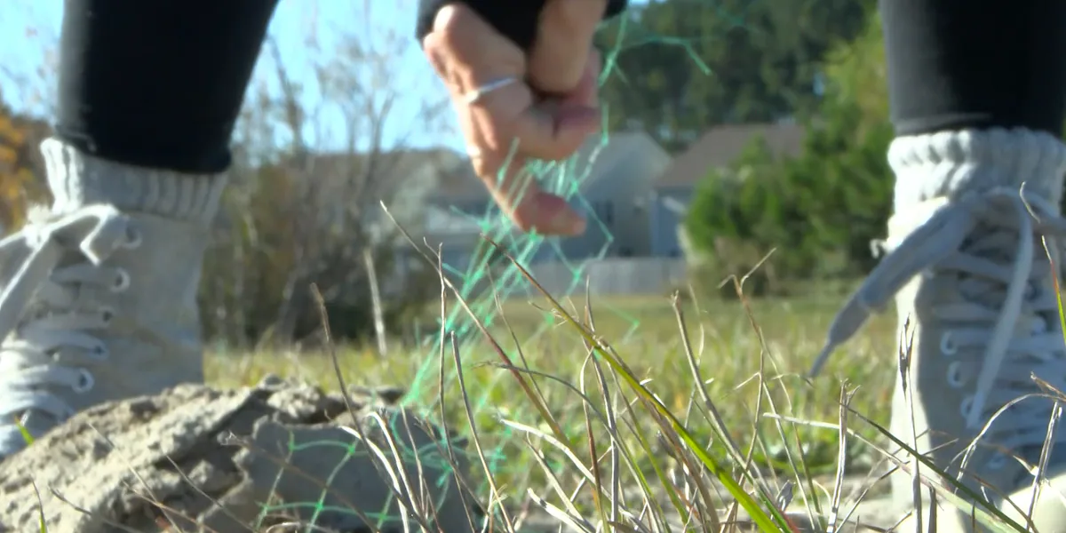 Netting in new developments harming Lowcountry wildlife, rescuers say