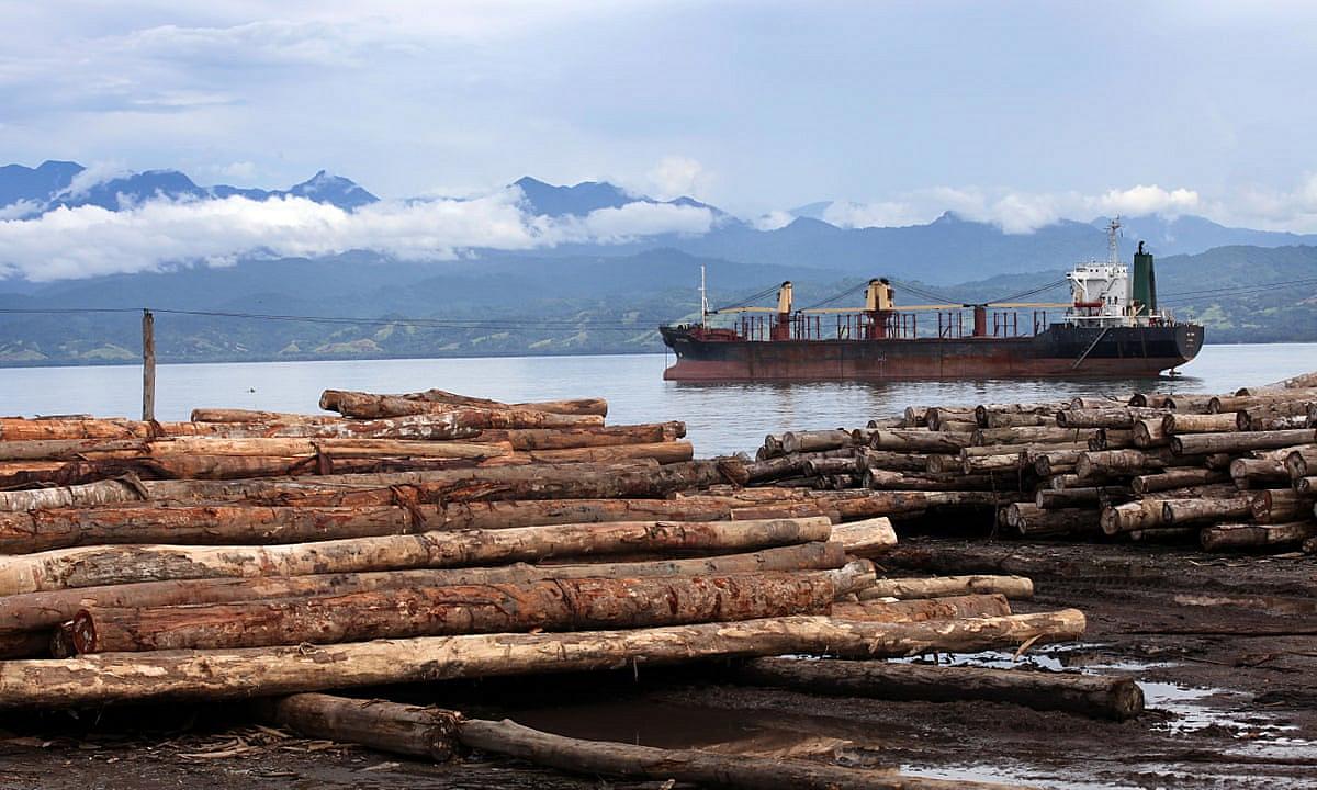 PNG to end round log exports by 2025