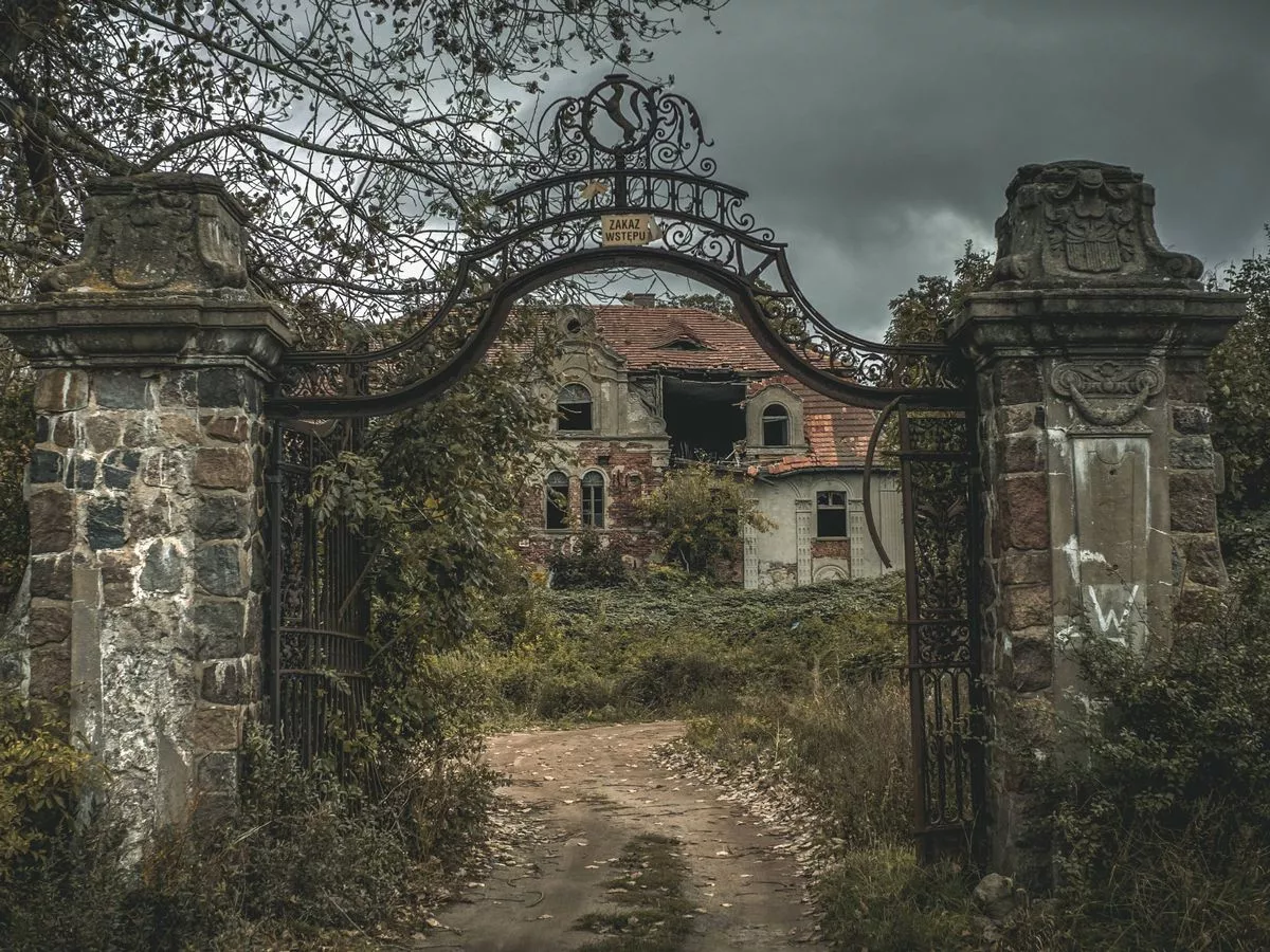 Man uncovers abandoned mansion in Ireland but 'sad' finding awaits him