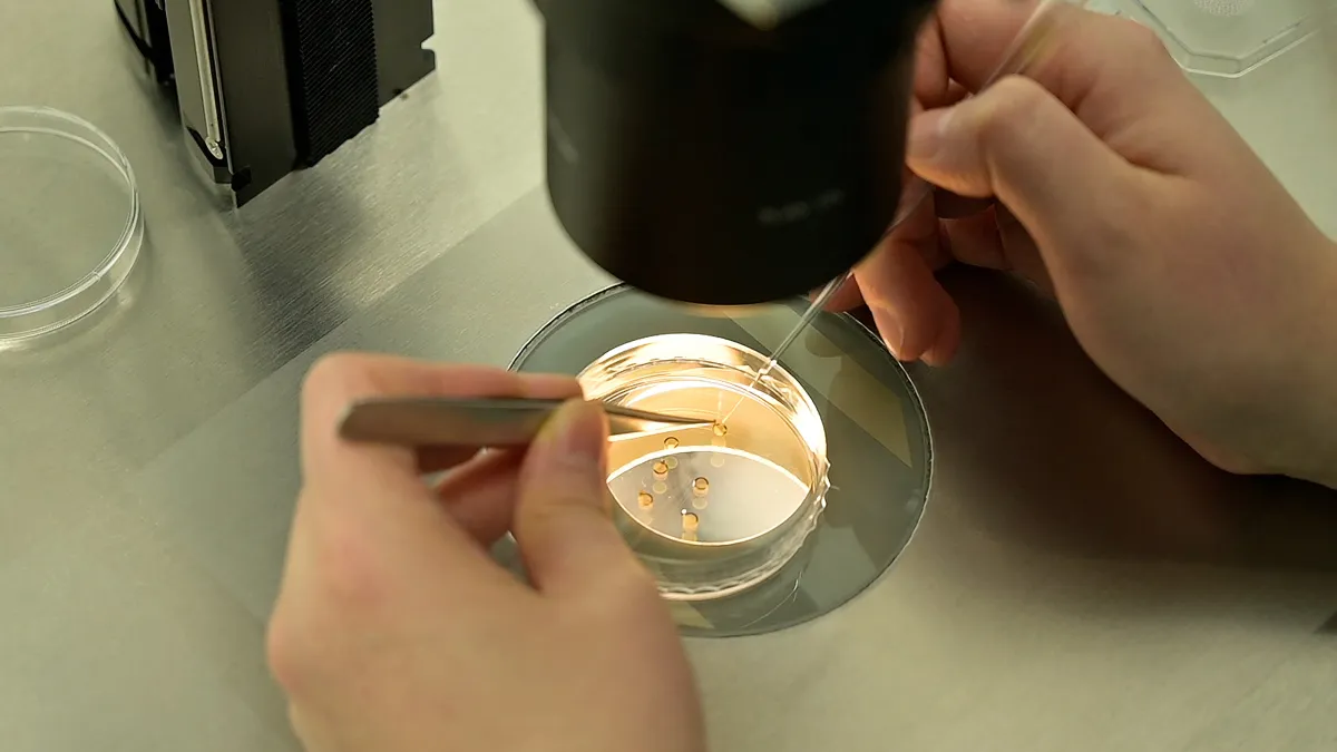 The best age for a woman to freeze her eggs according to doctors