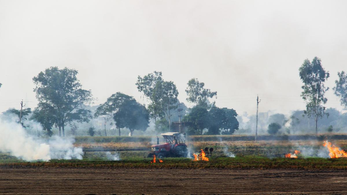 Punjab farmer outfits ask government to withdraw stubble burning cases or face resistance
