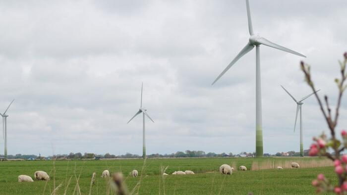 Most Germans Oppose Combustion Engine Bans And Meat Reduction Measures To Save The Planet