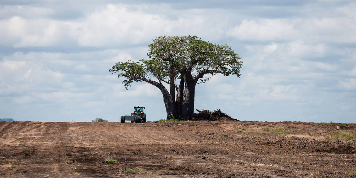 Halting Africa’s Deforestation