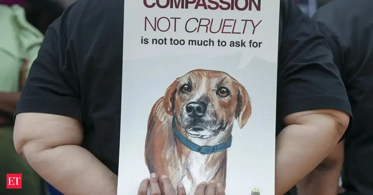 Animal lovers protest against SC order to relocate stray dogs