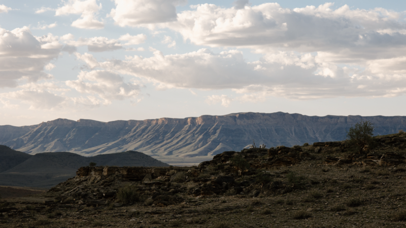 Namibian wine is made in one of the world’s harshest climates