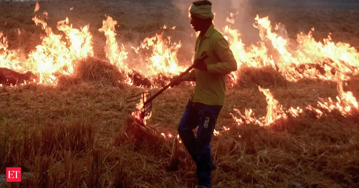 Punjab records 3,284 stubble burning from Sept 15 to Nov 6, Haryana witnesses 206