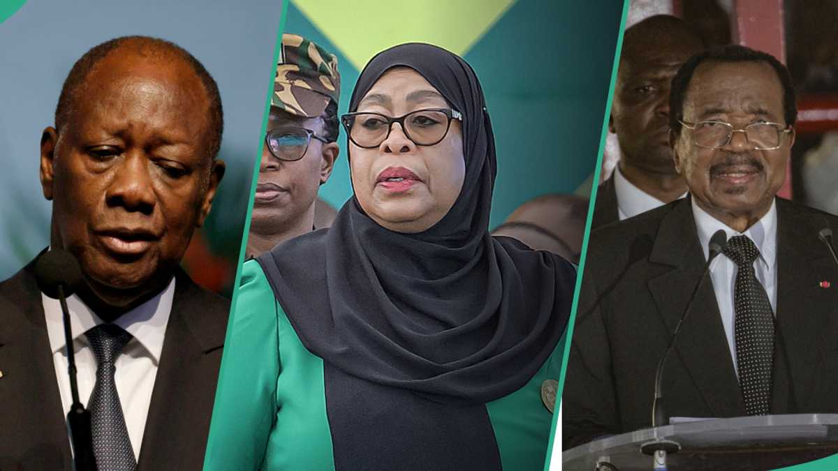 Timi Frank slams sham elections in Tanzania, Cameroon, and Ivory Coast