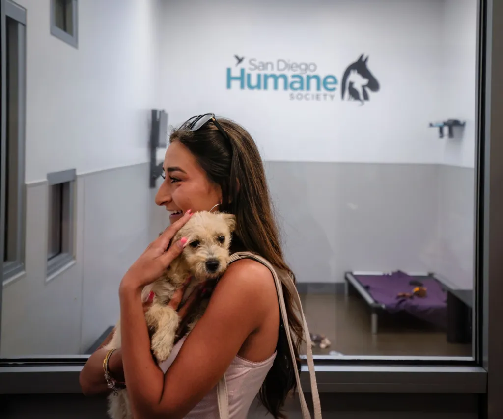 San Diego Humane Society’s launches temporary adoption program