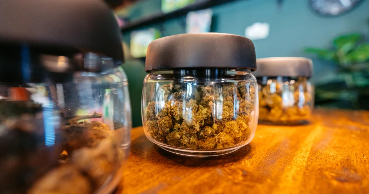 Michigan towns bordering Indiana and Wisconsin vote to ban or limit marijuana shops