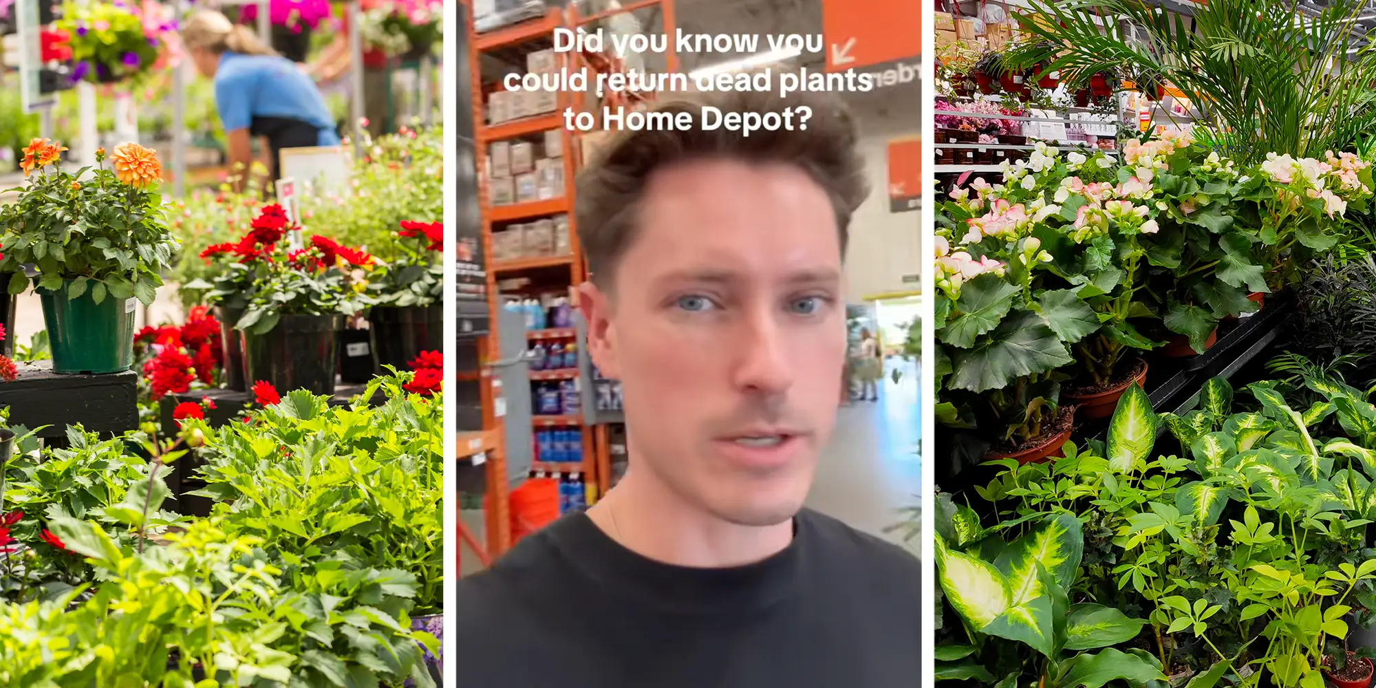 “How is that possible?”: Home Depot worker clues customer in on the store’s policy for returning dead plants