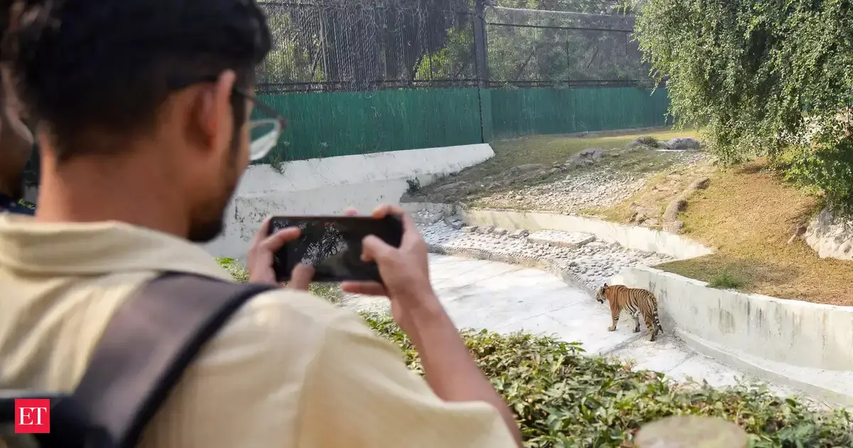 Delhi Zoo reopens for visitors after two-month closure