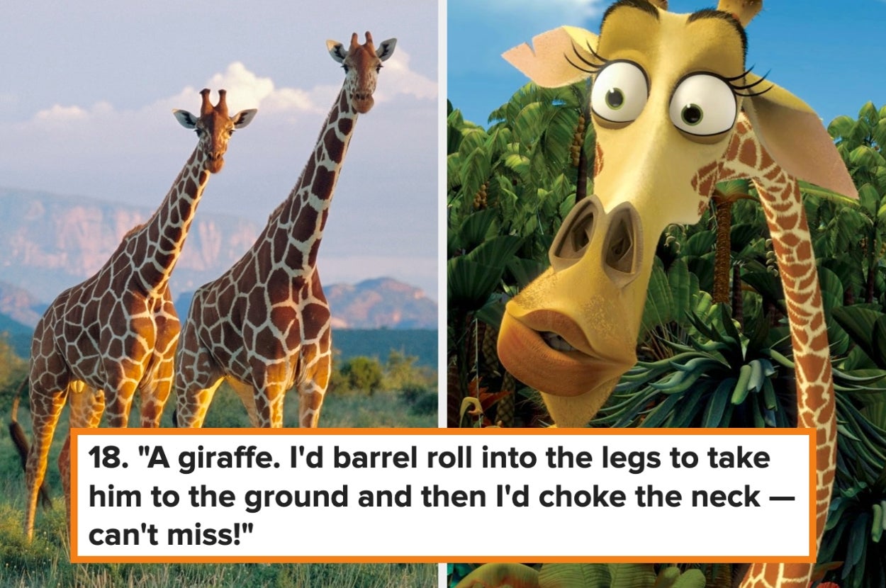 People Are Sharing The 24 Biggest Animals They Think They Could Defeat In A Fight, And It’s Absolutely Chaotic