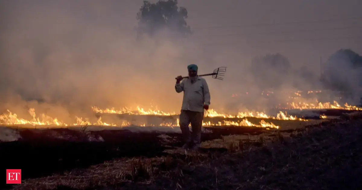CAQM asks Punjab to act swiftly on stubble burning; says Haryana has shown sharp decline
