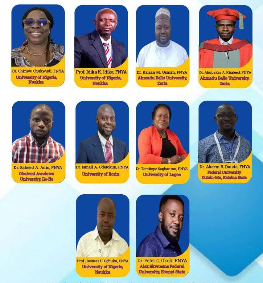 Unilorin, UNILAG, ABU dons, others bag NYA fellows