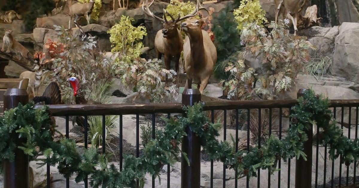 Santa arrives with Christmas freebies at Cabela's