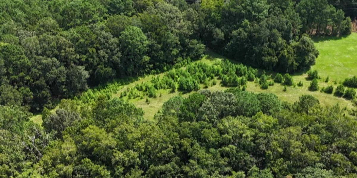 Lowcountry Land Trust protects more than a century of generational Johns Island land