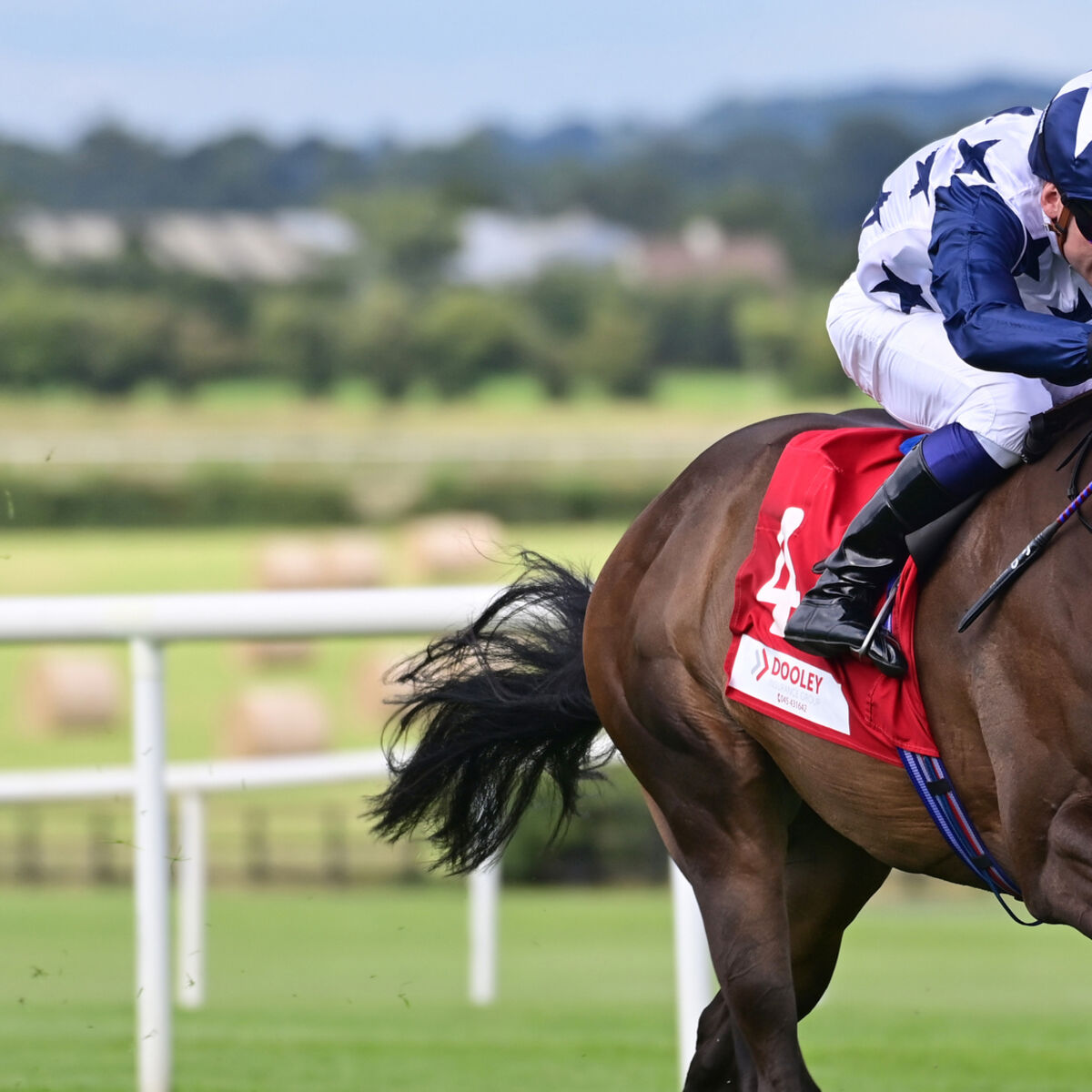 Havana Anna has score to settle with True Love at Del Mar