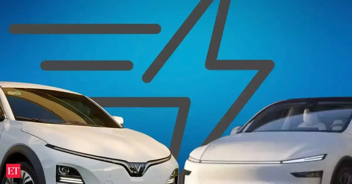 Tesla takes a hit and money-minded Indians prefer Vinfast instead