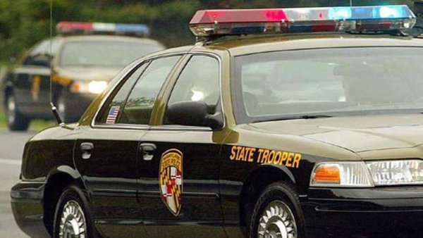 Rising Sun man faces charges, including animal cruelty, after leading police on chase