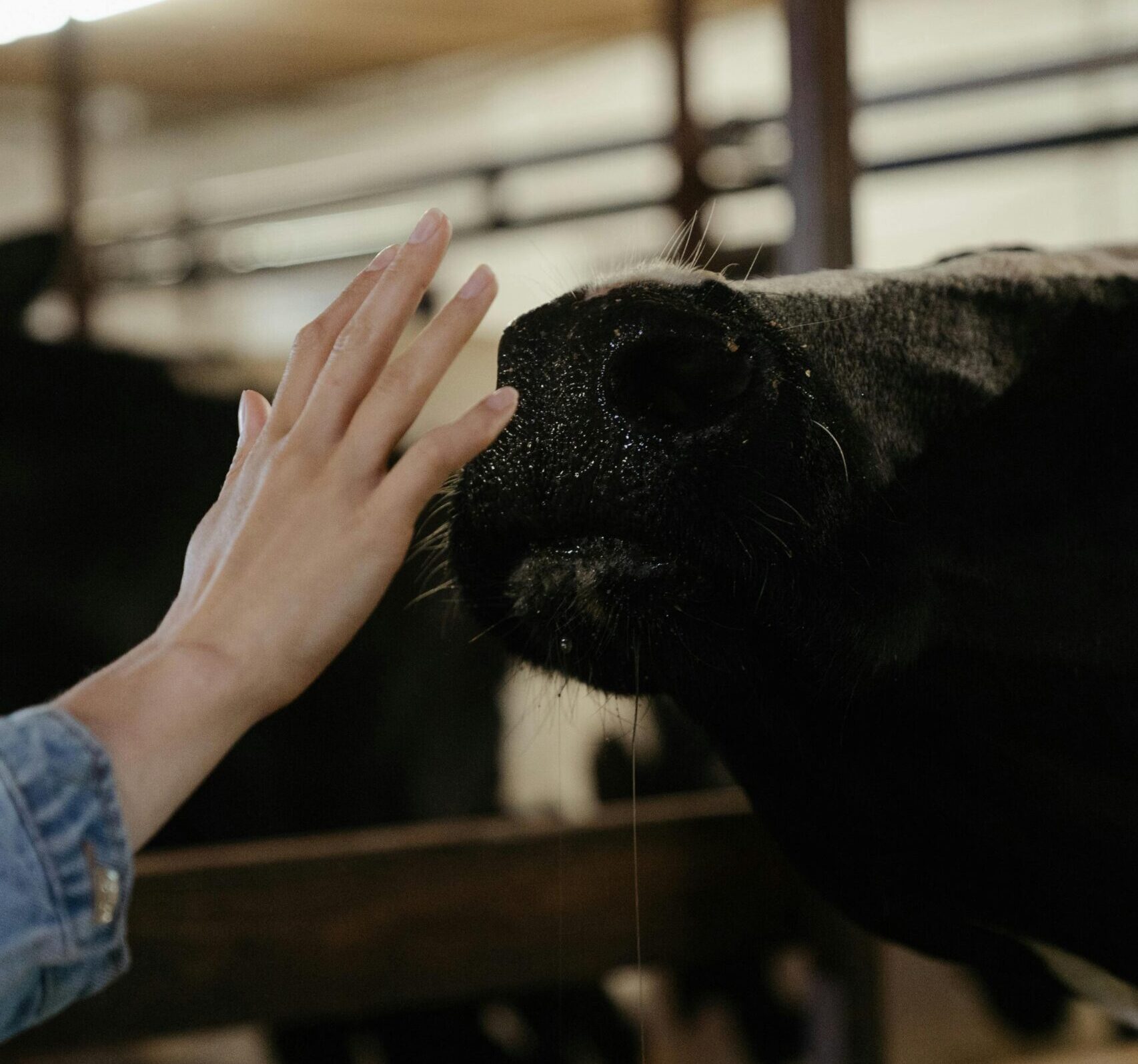 Ag jobs beckon as urban economy tanks