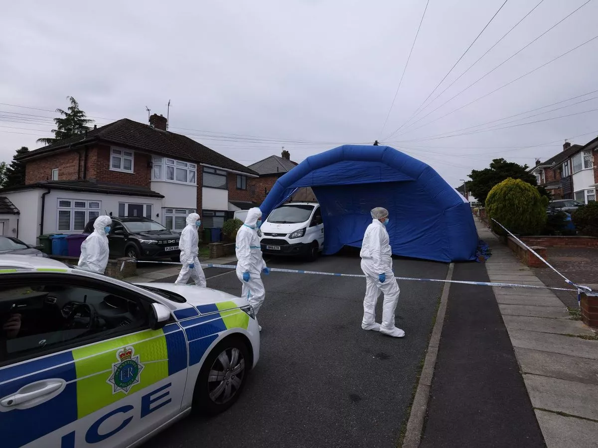 'Bromance' formed over Jagerbombs and vodka ended in murder at family party