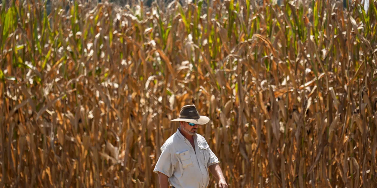 Why Land O'Lakes is piloting a new AI tool called 'Oz' in bid to help boost profits on cost-pressured American farms