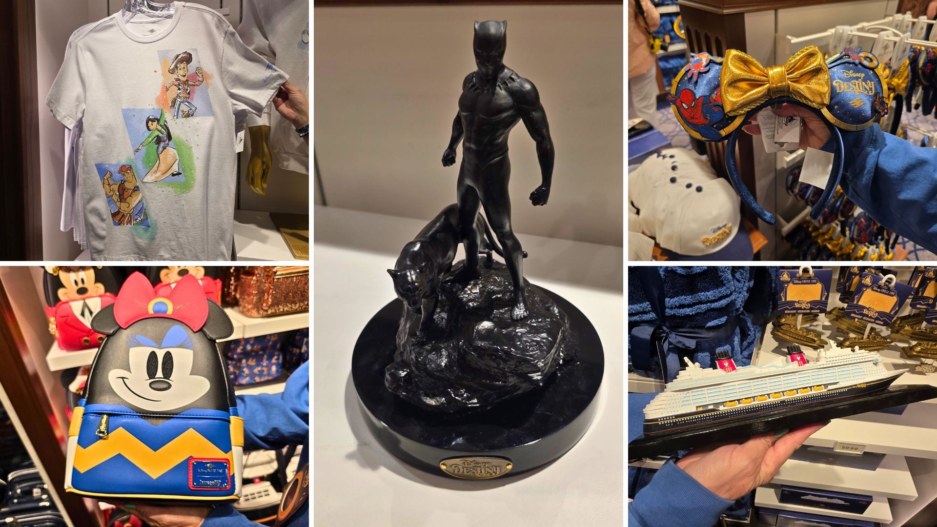 Disney Destiny Merchandise