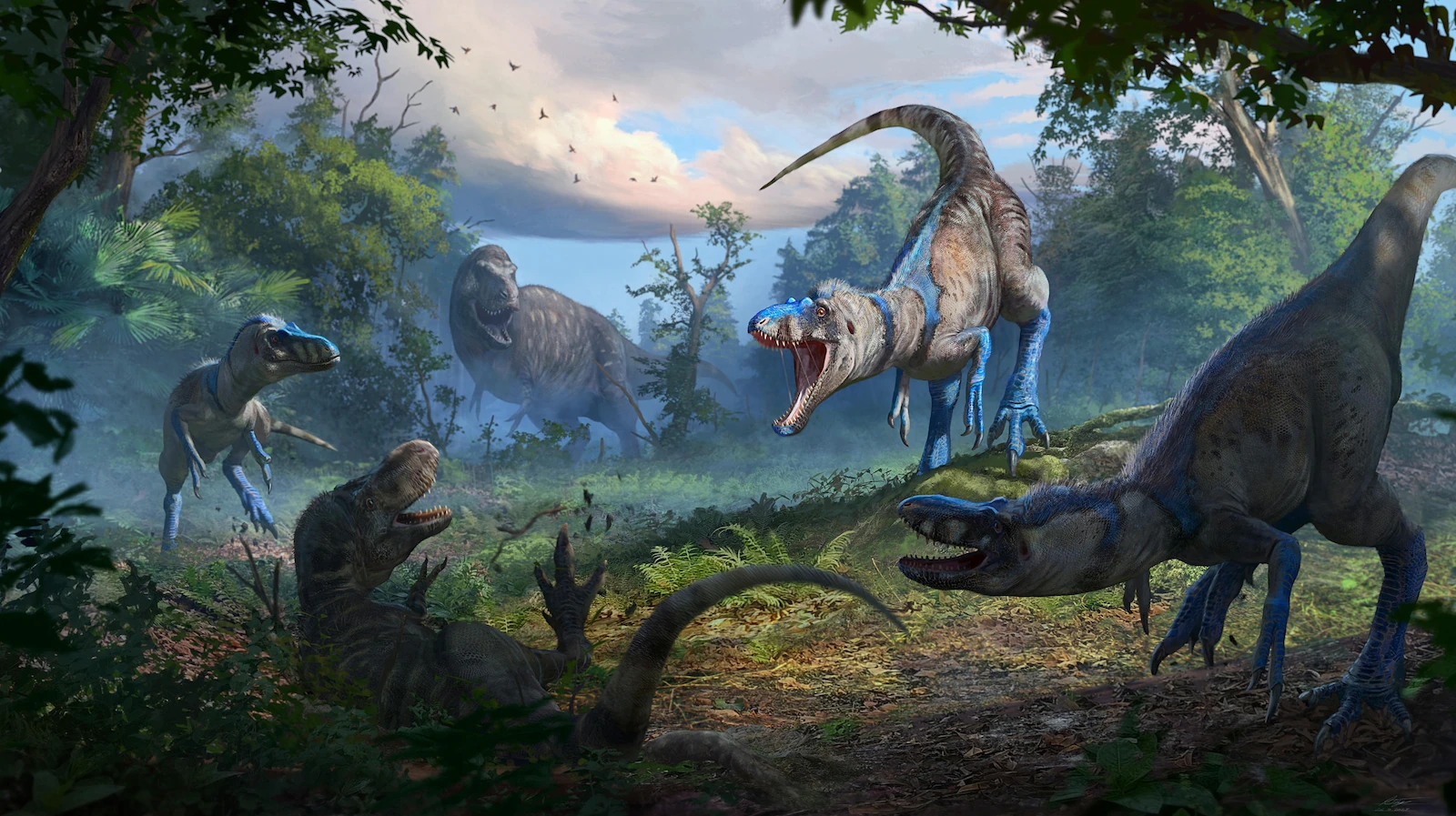 Why researchers thought fossils of new dinosaur species were a T. Rex